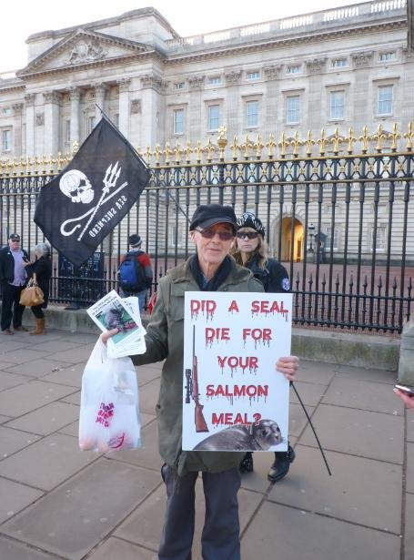 Money shot #24 b Money shot #24 b