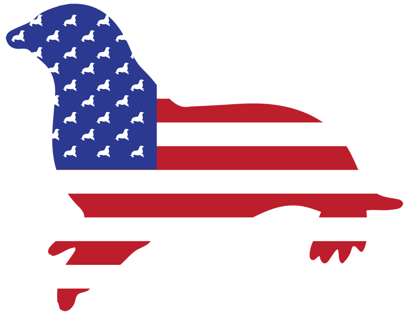 US seal flag graphic US seal flag graphic