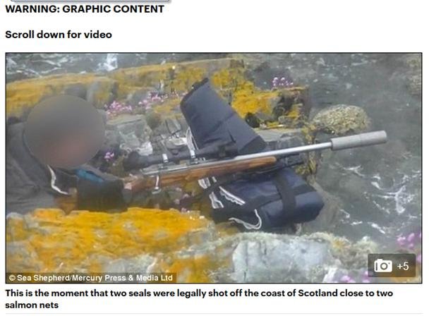 US ban PR 6 Sept 2016 video nasty US ban PR 6 Sept 2016 video nasty