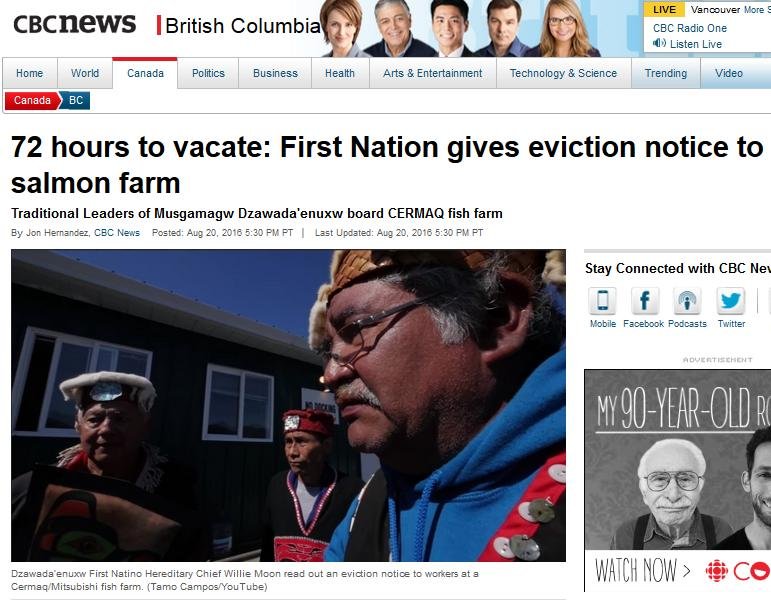 Royal blog #12 willie CBC Royal blog #12 willie CBC