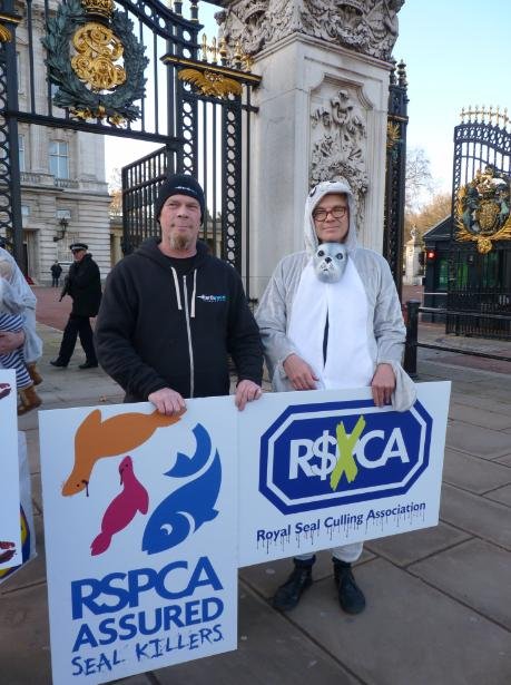 RSPCA #3 RSPCA #3