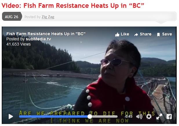 Resistance video die