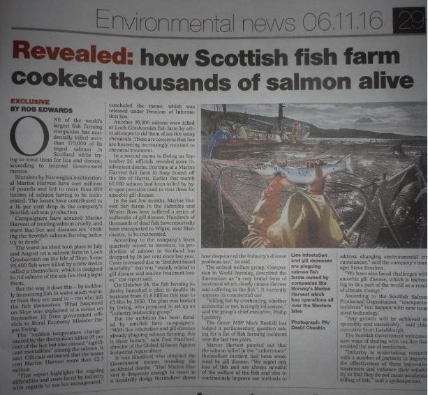 Sunday Herald 6 November article in full Sunday Herald 6 November article in full