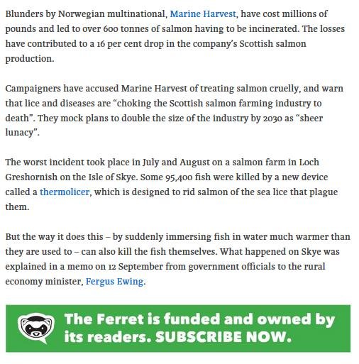 The Ferret 7 Nov 2016 #2 The Ferret 7 Nov 2016 #2