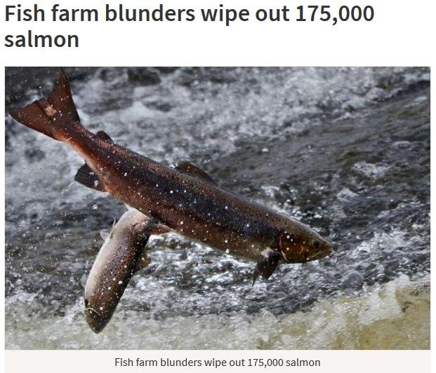 Herald 7 Nov 2016 #1 Herald 7 Nov 2016 #1