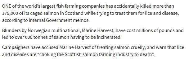 Herald 7 Nov 2016 #2 Herald 7 Nov 2016 #2