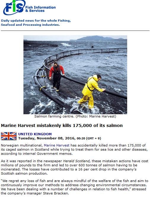 FIS 8 Nov 2016 #1 FIS 8 Nov 2016 #1