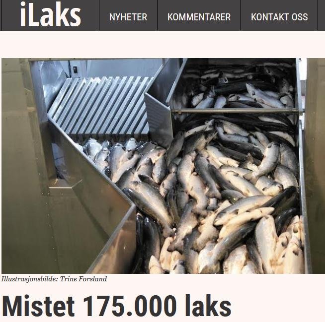 ILaks 7 Nov 2016 #1 ILaks 7 Nov 2016 #1