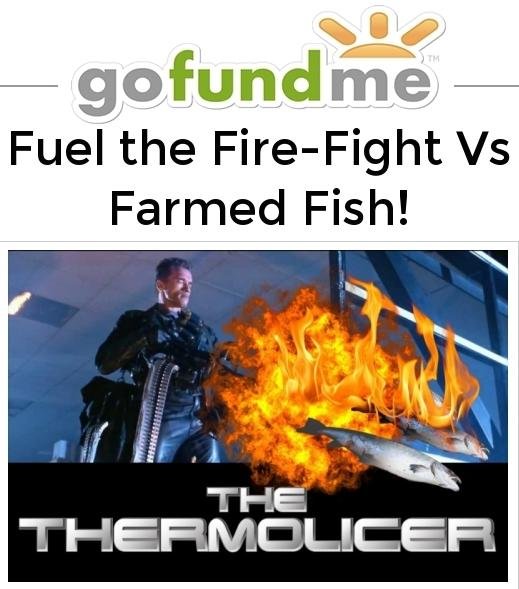 Go Fund Me Fuel the Fire-Fight Nov 2016