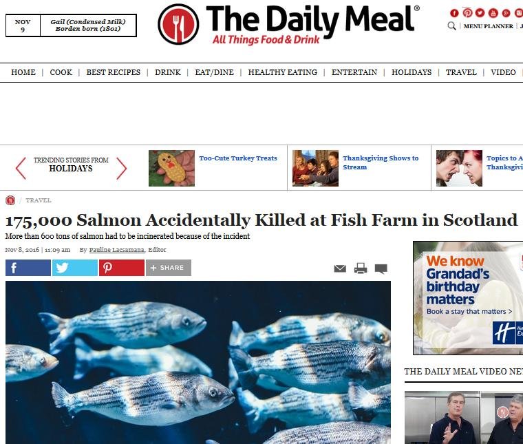 Daily Meal 8 Nov 2016 #1 Daily Meal 8 Nov 2016 #1