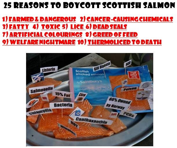 25 Reasons to Boycott Scottish Salmon #1 front cover 25 Reasons to Boycott Scottish Salmon #1 front cover