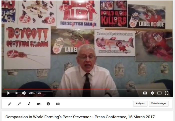 Video press conference Peter Stevenson photo Video press conference Peter Stevenson photo