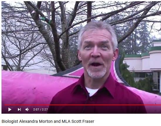 Scott Fraser video Scott Fraser video