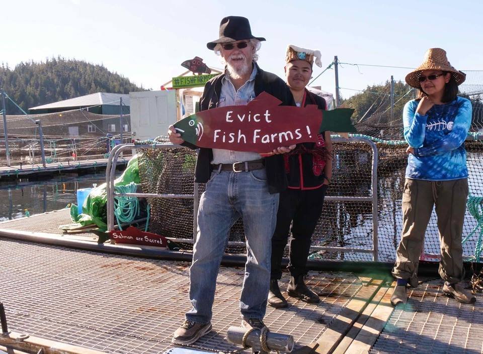 David Suzuki David Suzuki