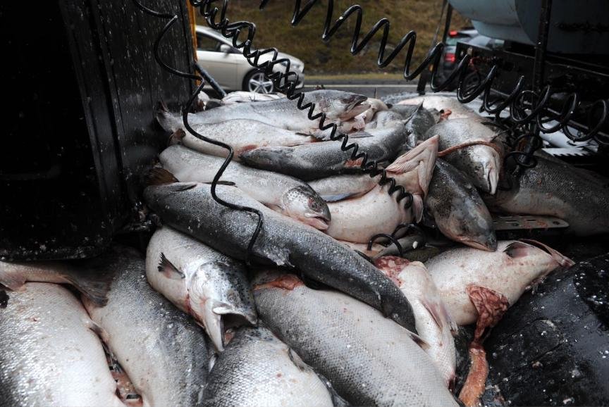 A9 spill March 2017 A9 spill March 2017