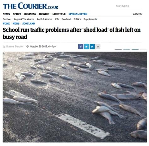 Courier 2015 Courier 2015