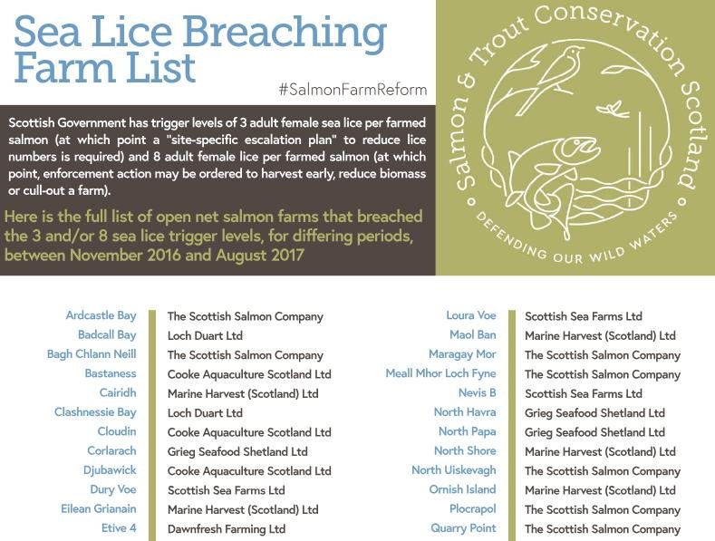 Lice list Lice list