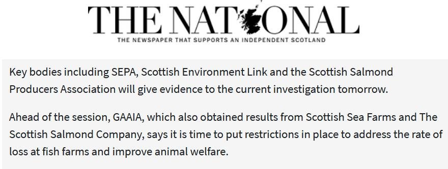 The National 5 Feb 2018 # Salmond slip The National 5 Feb 2018 # Salmond slip