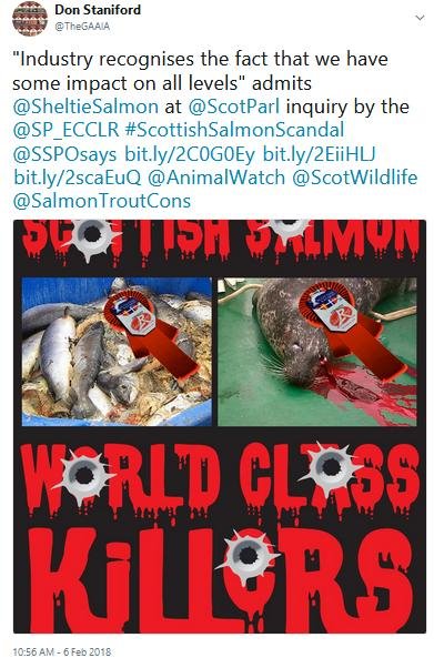 Tweet SP #8 impact on all levels