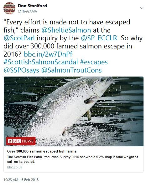 Tweet SP #11 escapes