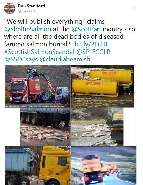 Tweet SP #15 publish everything