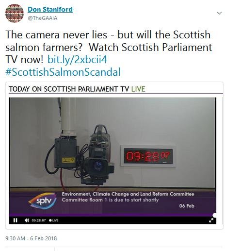 Tweet SP #16 camera never lies