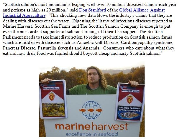 Don in press Don in press