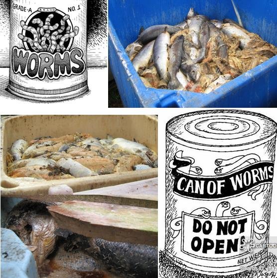 Can of worms #1 Can of worms #1