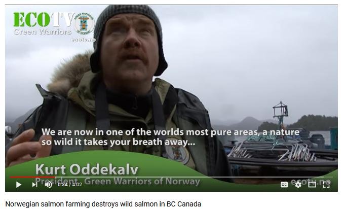 Olympic blog #20 Kurt Olympic blog #20 Kurt