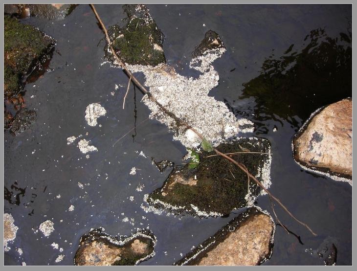 Marybank photo #2 Marybank photo #2