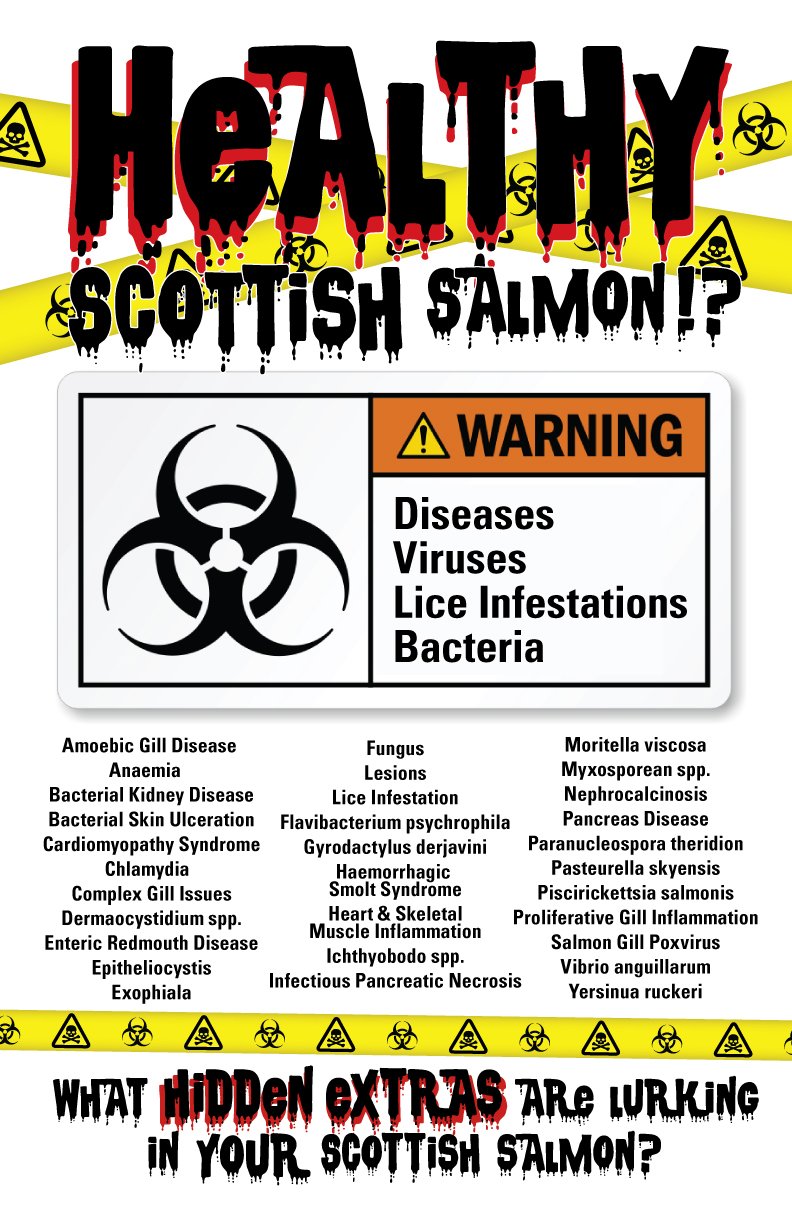 Poster #5 Healthy Scottish Salmon Hidden Extras Poster #5 Healthy Scottish Salmon Hidden Extras