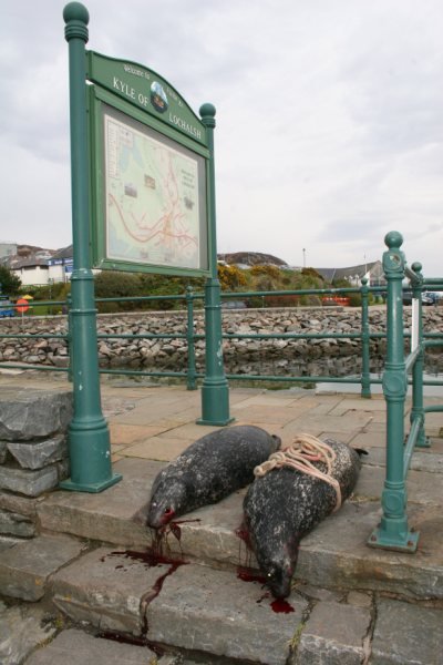 Nigel Smith photo #5 Kyle sign Nigel Smith photo #5 Kyle sign