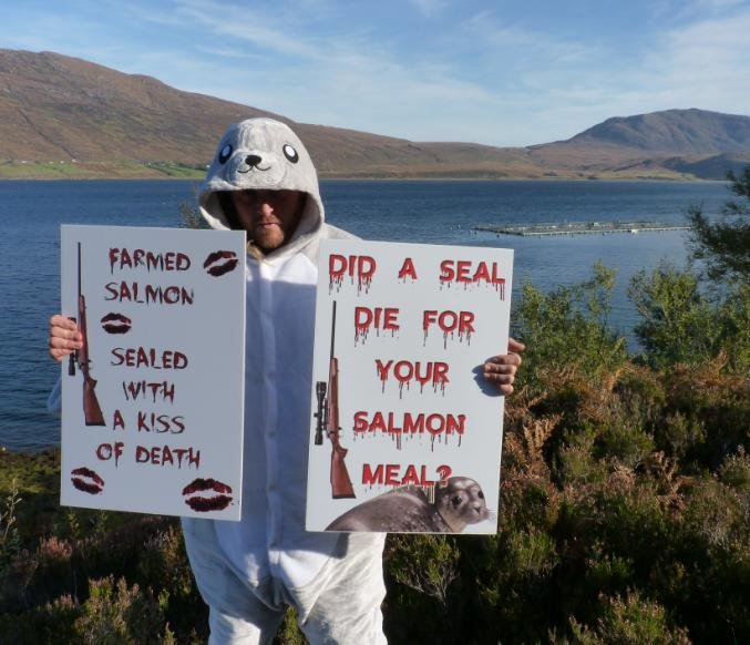 Photo #1 Don with two signs at WRF in Little Loch Broom Photo #1 Don with two signs at WRF in Little Loch Broom