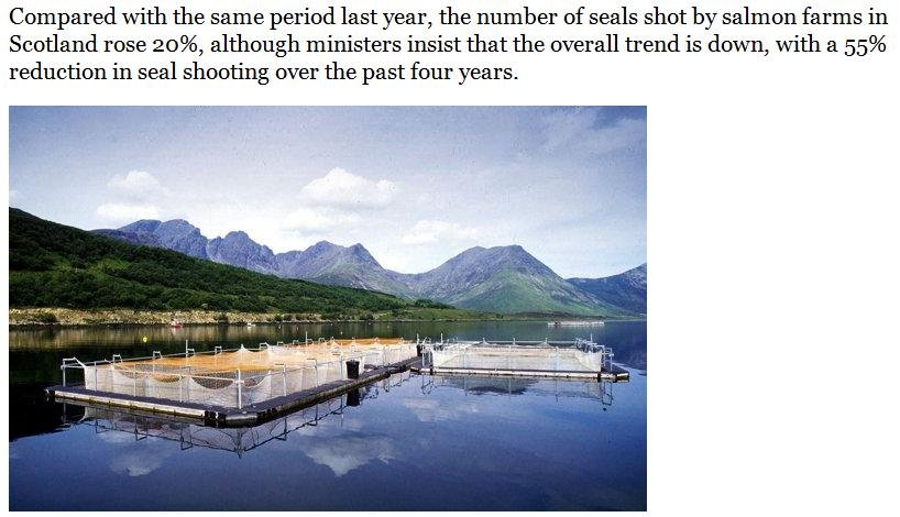 Sunday Times 29 Nov 2015 #3