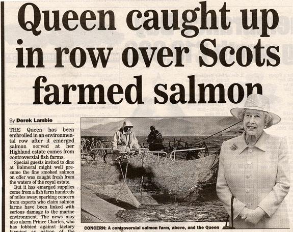 Queen headline Queen headline