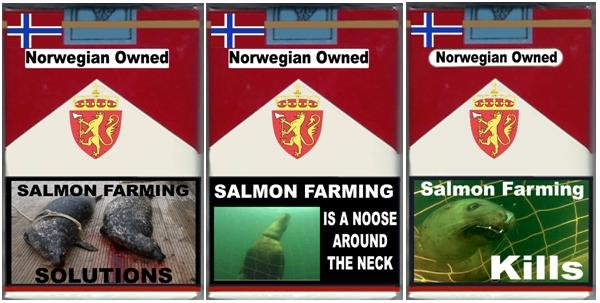 3 pack seals solutions 3 pack seals solutions