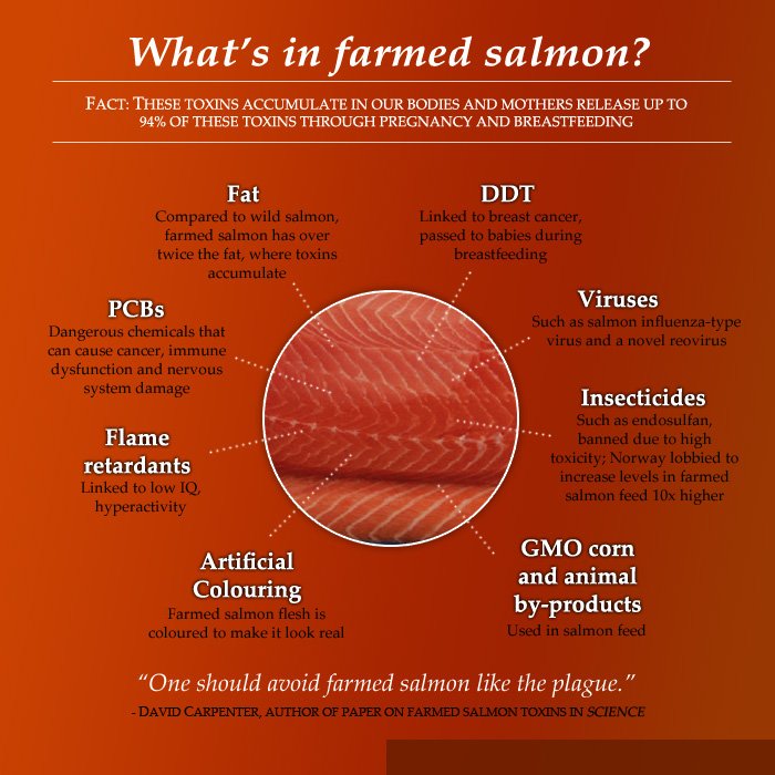 Royal blog #18 carpenter chart Royal blog #18 carpenter chart