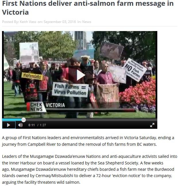 Royal blog #5 CHEK Royal blog #5 CHEK