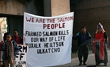 Royal blog #6 zero Royal blog #6 zero