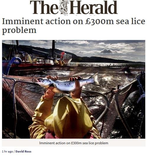 Herald 9 Jan 2017 #1 Herald 9 Jan 2017 #1