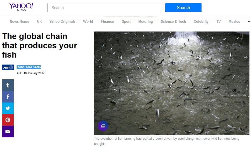 Yahoo News 16 Jan 2017 #1 Yahoo News 16 Jan 2017 #1