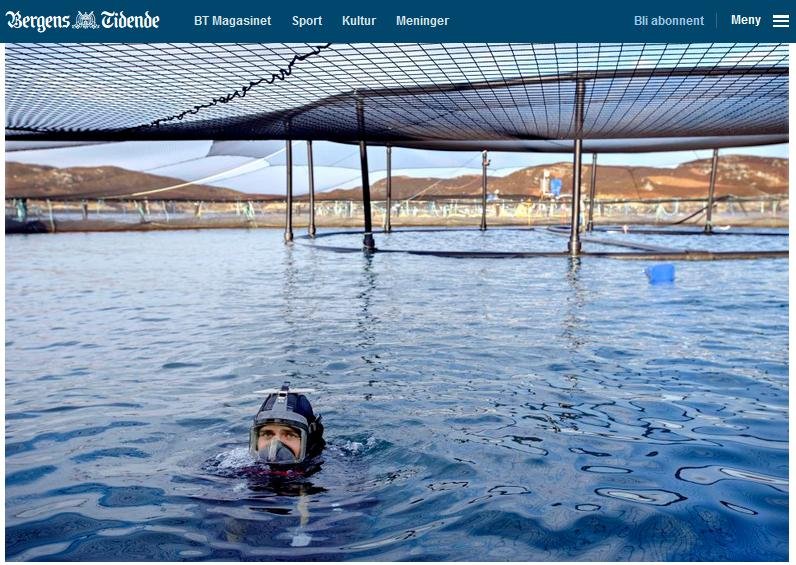 Bergens Tidende 12 Feb 2017 photo #4 diver Bergens Tidende 12 Feb 2017 photo #4 diver