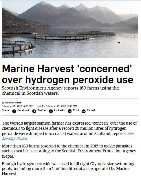 Intrafish 13 Feb 2017 MH concerned re H202 Intrafish 13 Feb 2017 MH concerned re H202