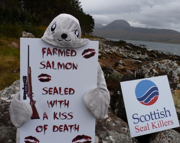 Photo #6 Kiss of death with Scottish Seal Killers low res Photo #6 Kiss of death with Scottish Seal Killers low res