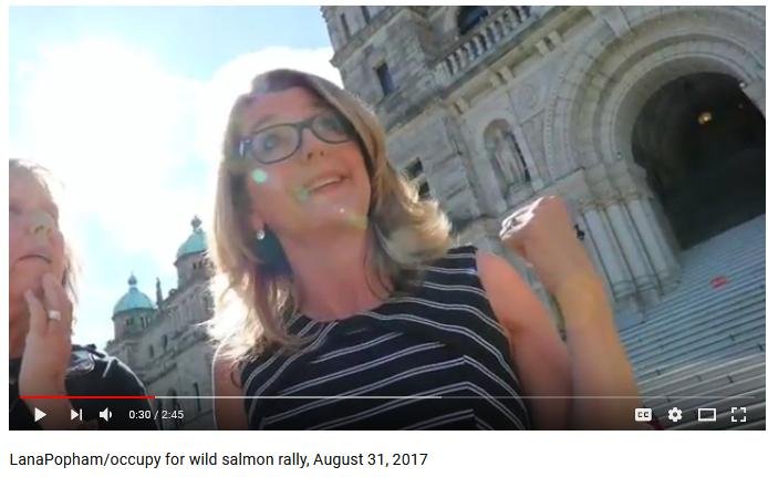 Popham hide Popham hide