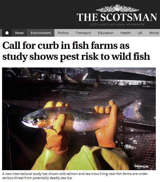 Scotsman 10 Jan 2018 #1 Scotsman 10 Jan 2018 #1