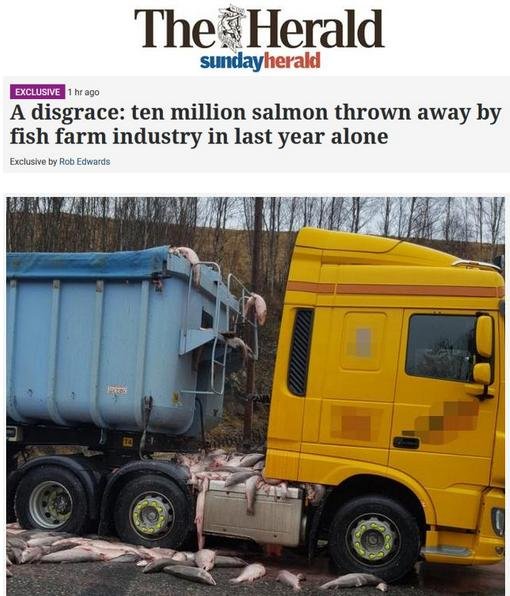 Sunday Herald 8 Oct 2017 headline with photo Sunday Herald 8 Oct 2017 headline with photo