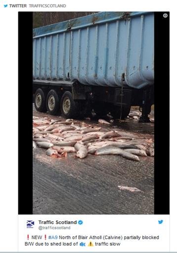 Traffic scotland Traffic scotland