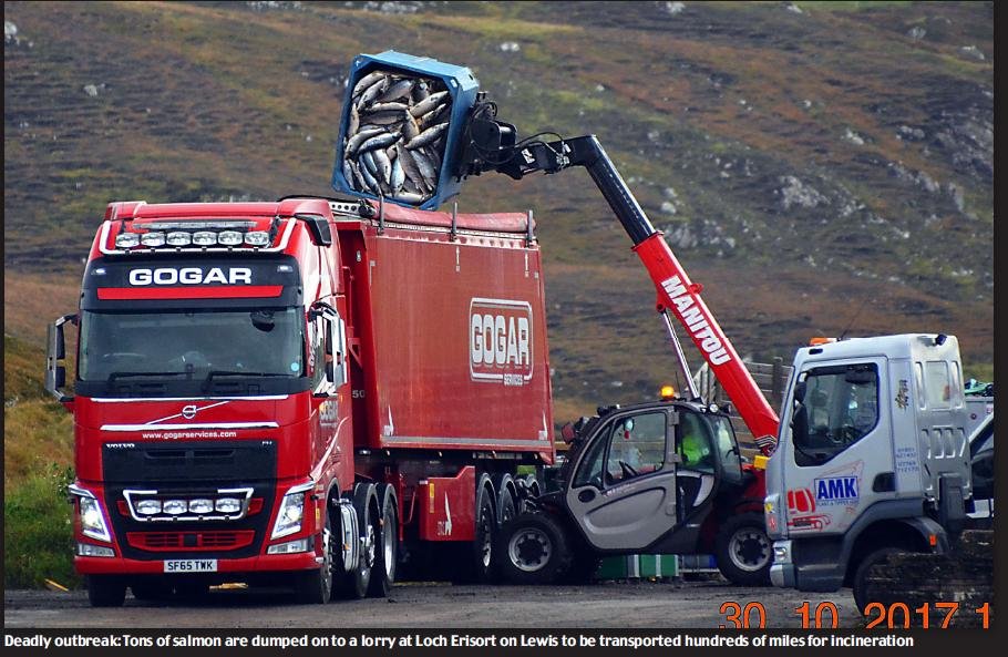 Daily Mail 27 Jan 2018 #1 PDF photo of truck