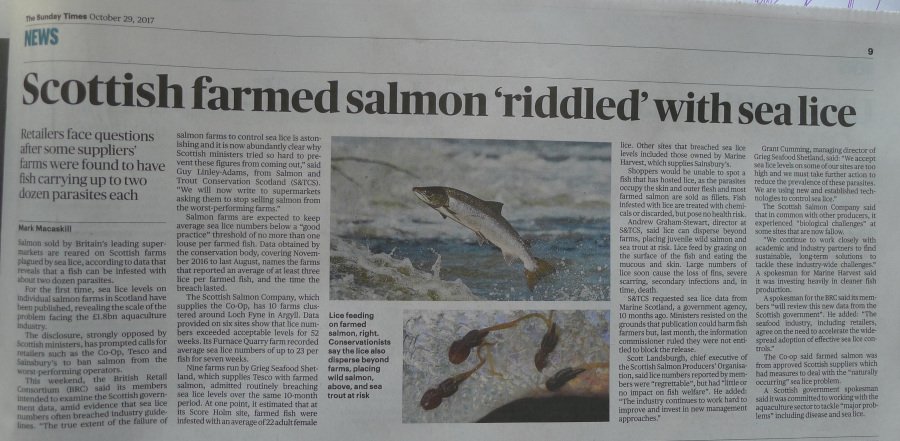Sunday Times Oct 2007 sea lice Sunday Times Oct 2007 sea lice